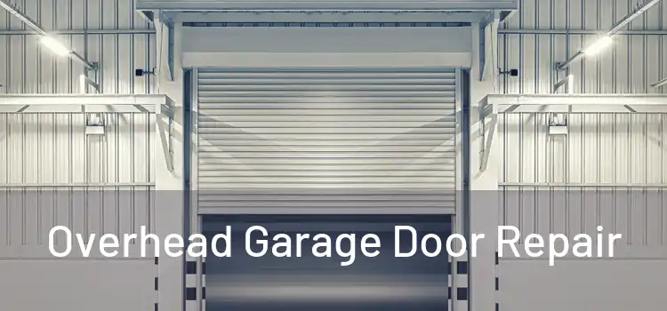  Overhead Garage Door Repair 
